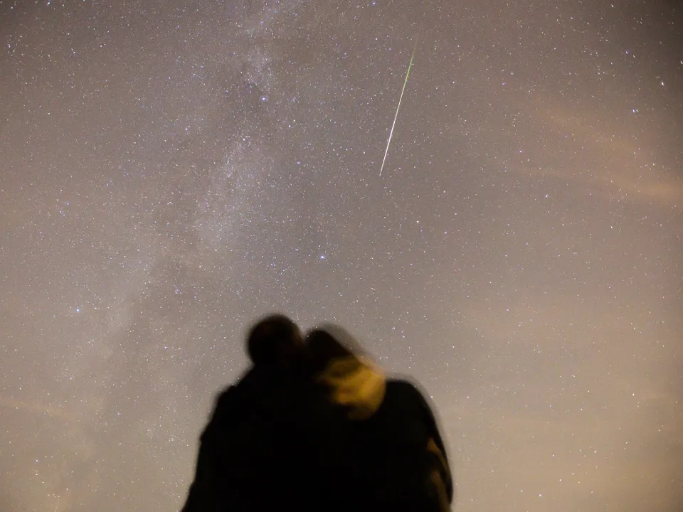 Фото: ТАСС/Егор Алеев