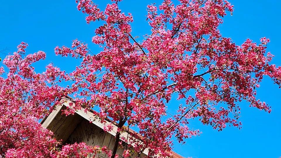 Фото: Валентина Максимова