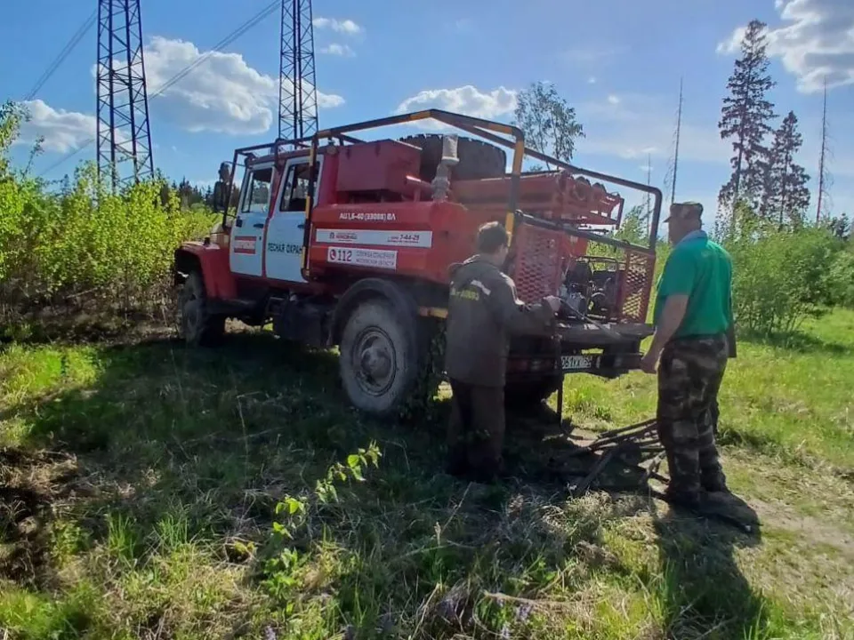 Фото: Комитет лесного хозяйства Московской области