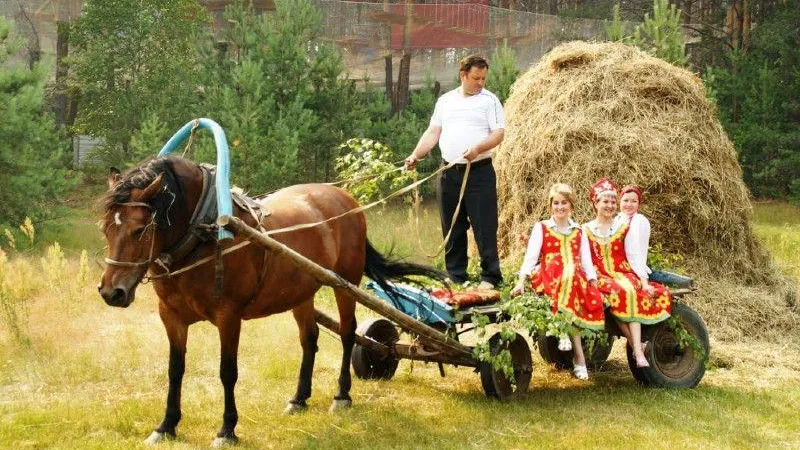 В Подмосковье выбрали ТОП-10 мест для сельского туризма