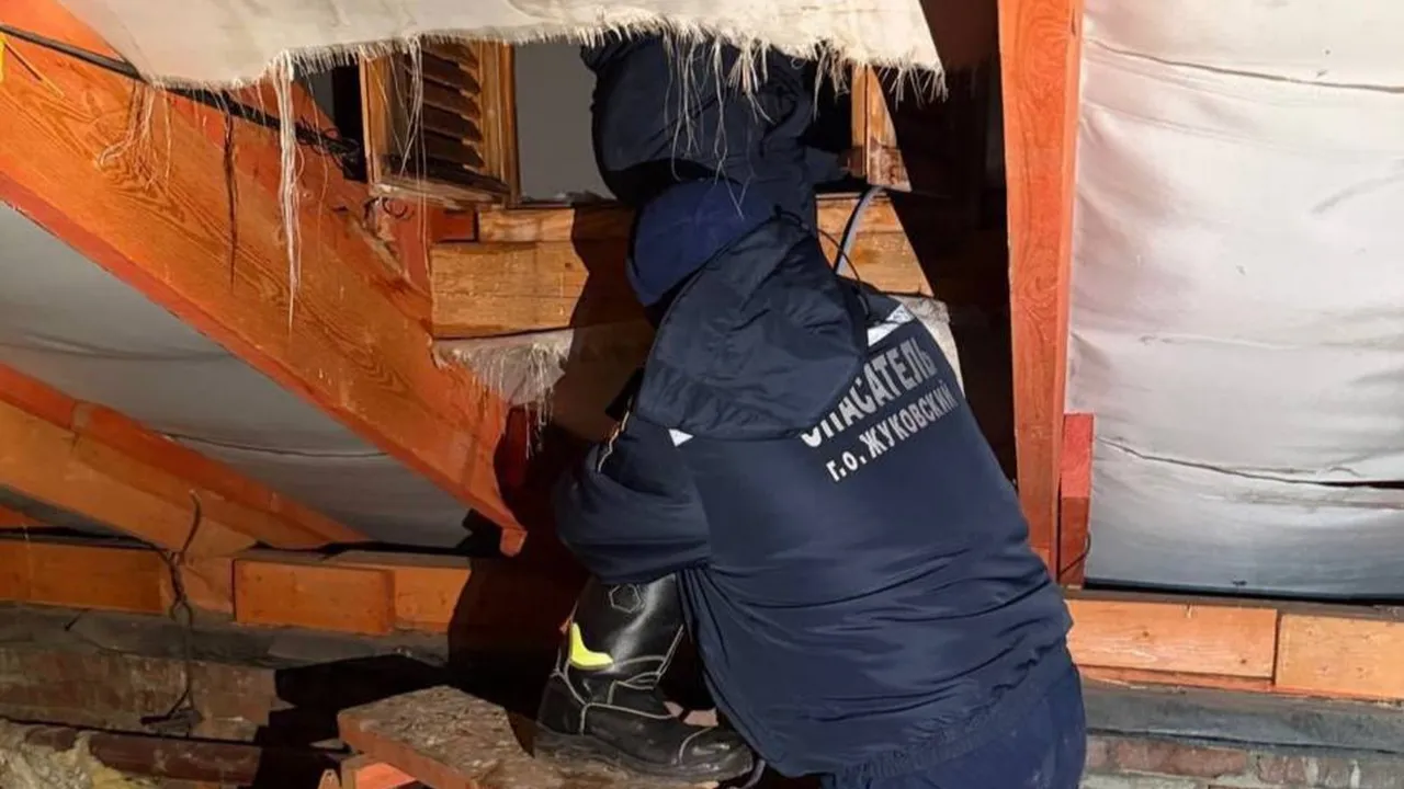 ПСО МУ «ЖАСО»