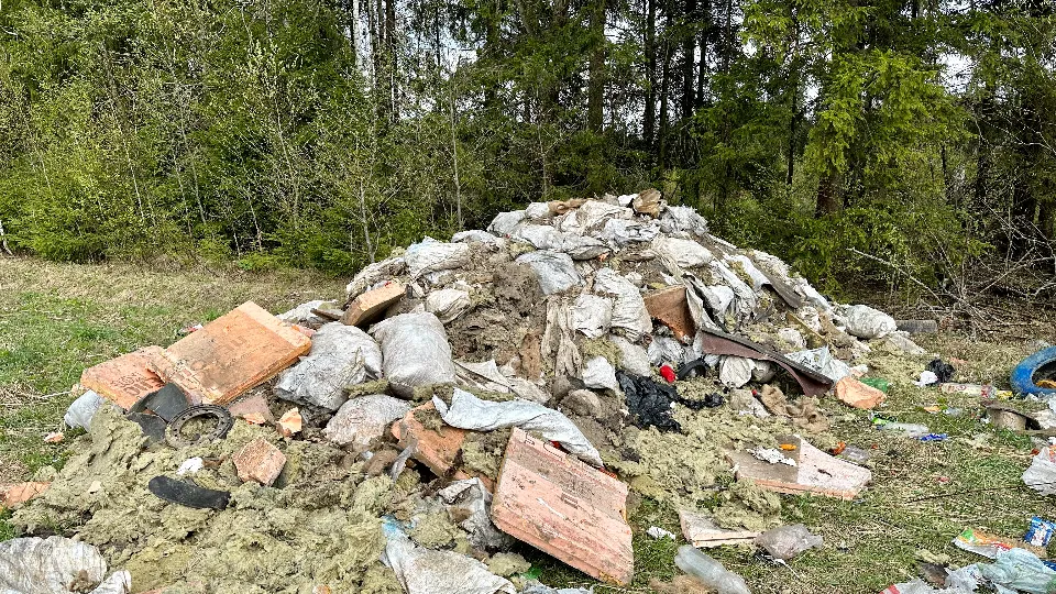 Фото: МедиаБанк Подмосковья/Данила Кирьянов