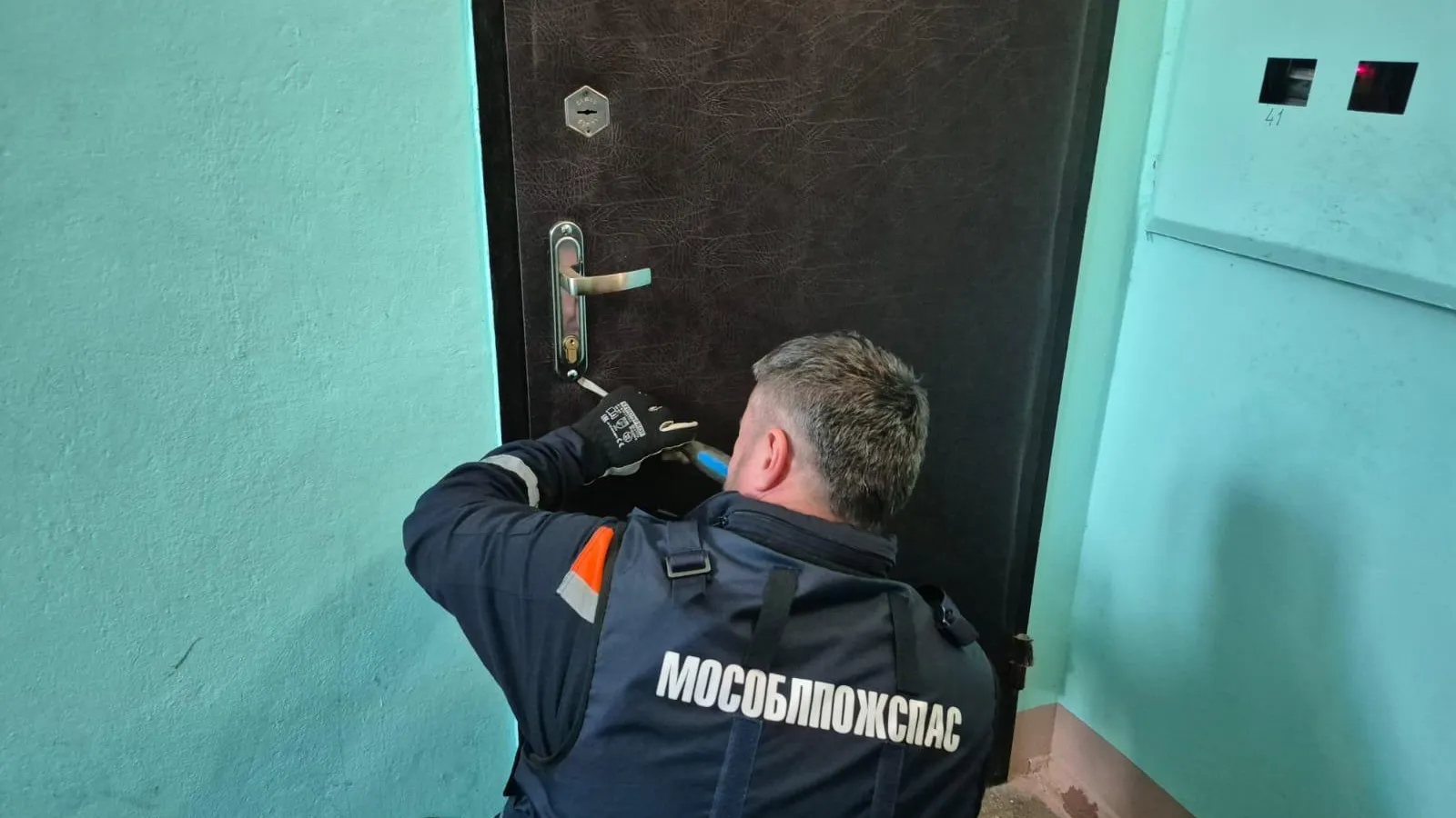 Фото: ГКУ МО «Мособлпожспас»