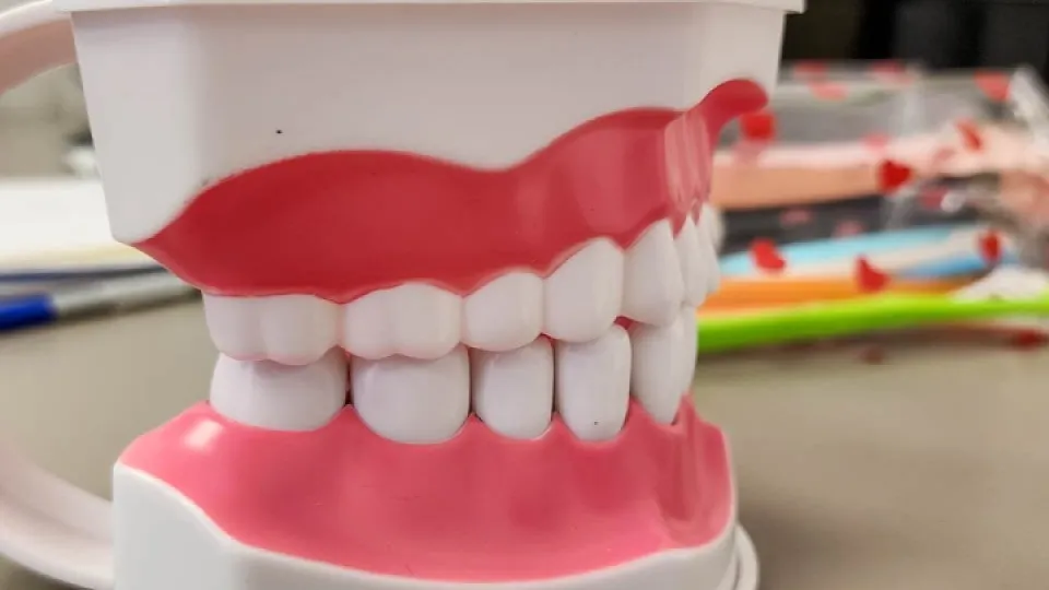 Фото: REGIONS/Наталия Надточая