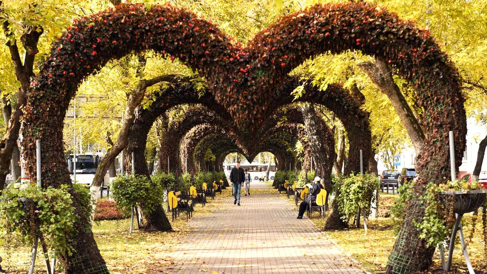 Фото: медиасток.рф