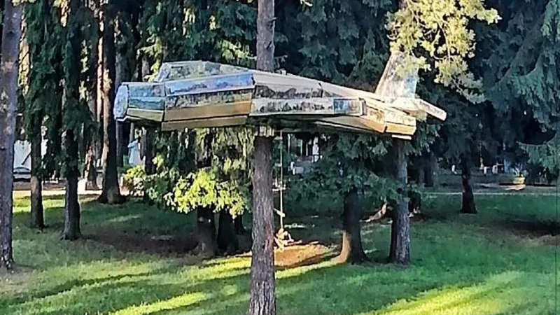 Художник из Жуковского смастерил самолет из картин и поселился в нем на сосне