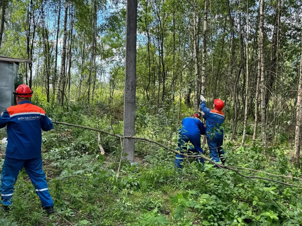 Фото: Мособлэнерго