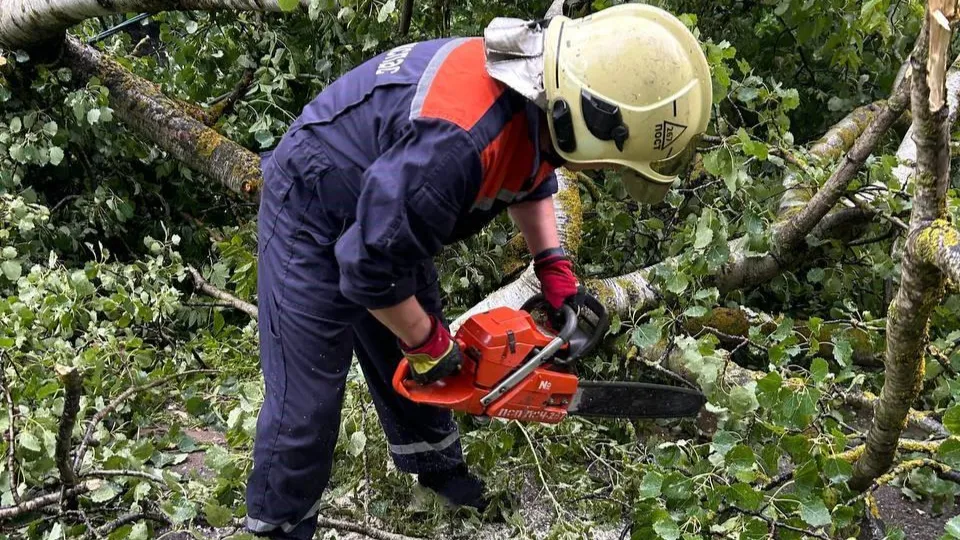 Фото: ГКУ МО «Мособлпожспас»