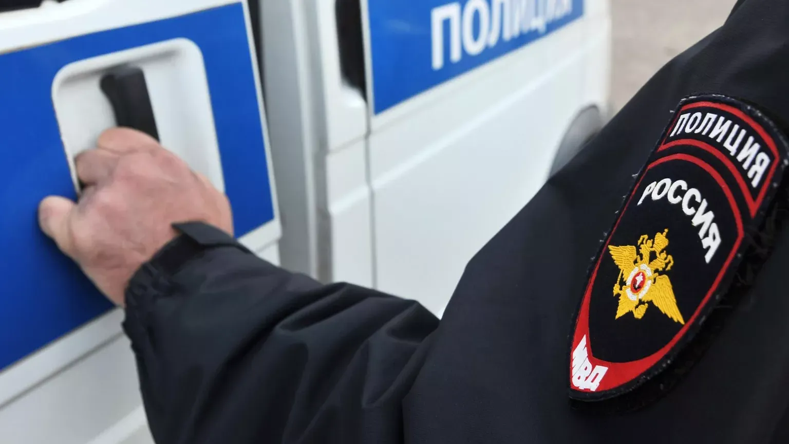 © РИА Новости