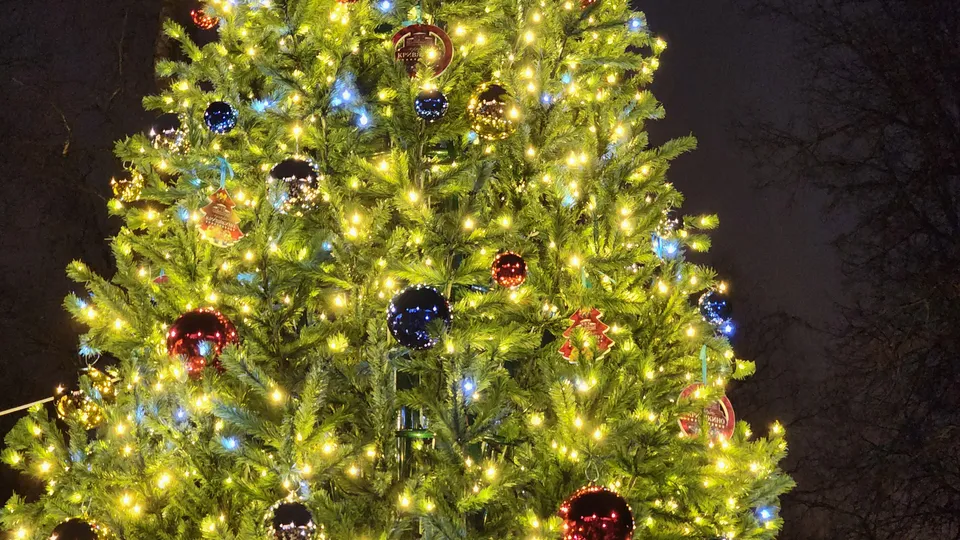 Фото: МедиаБанк Подмосковья/Светлана Плотникова