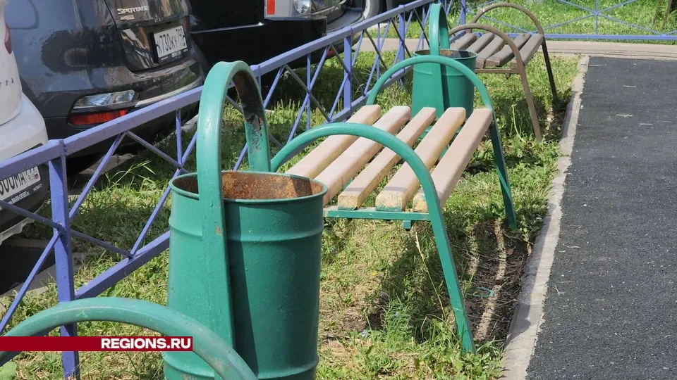 Фото: Никита Сморкалов