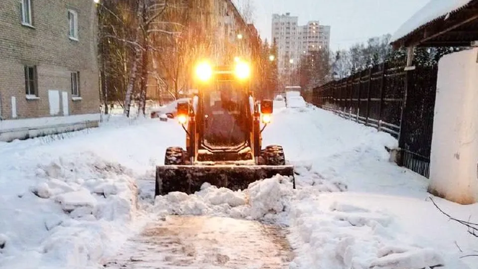 Фото: администрация г.о. Красногорск