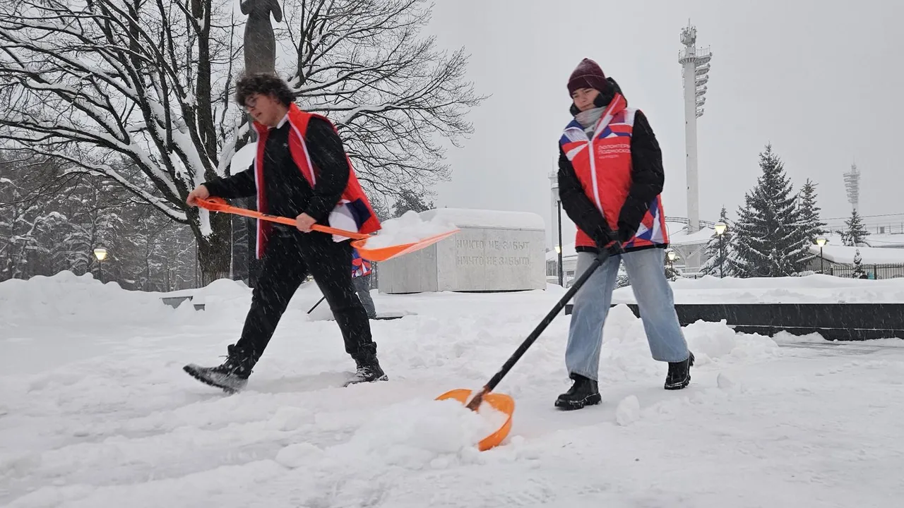 МедиаБанк Подмосковья/Ольга Вельшикаева
