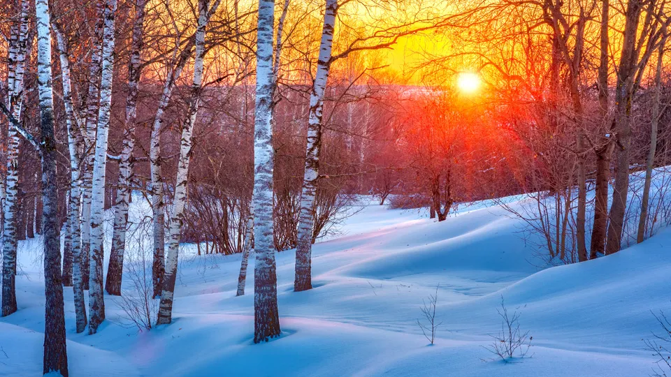 Фото: istockphoto.com/sborisov