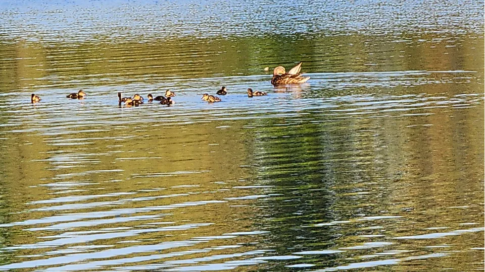 Фото: REGIONS/Наталия Надточая