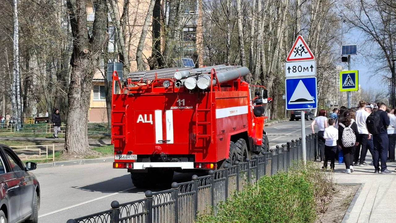Фото: Александра Загороднова