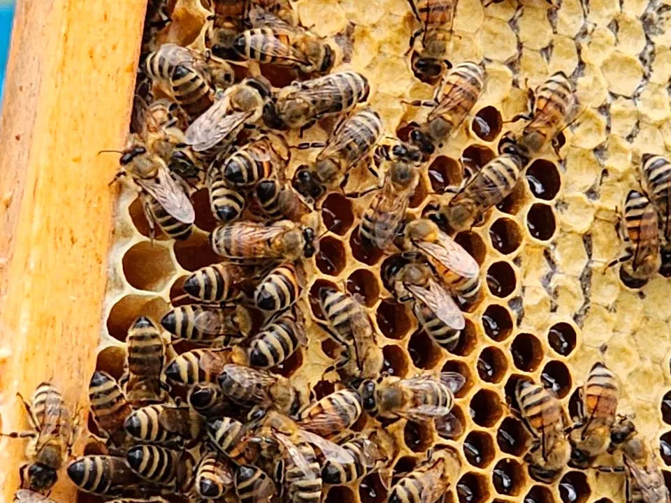 Фото: Валентина Максимова&nbsp;