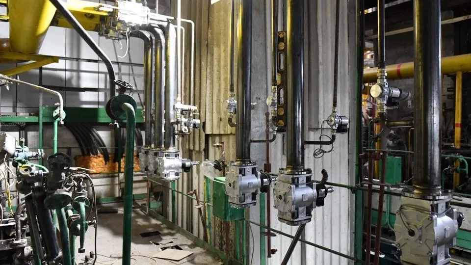 Фото: Дарья Попова