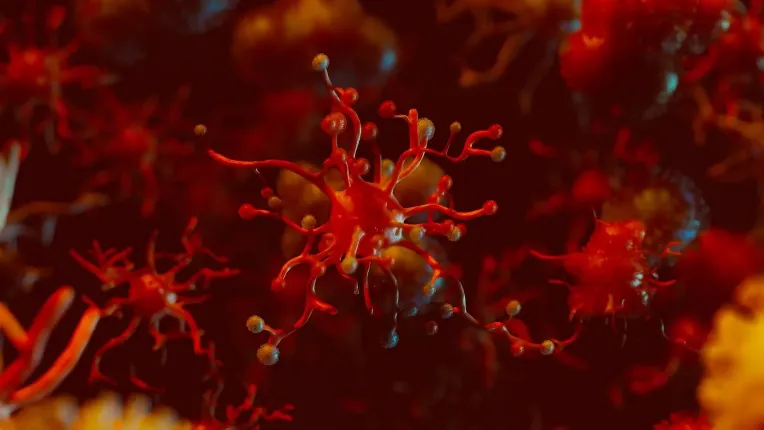 Фото: freepik.com