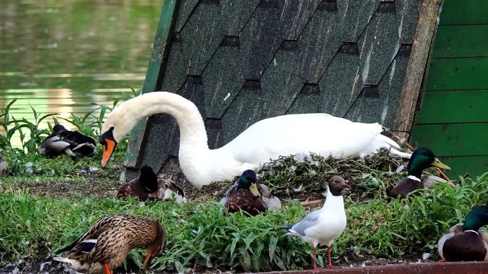 Фото: Дарья Леонова