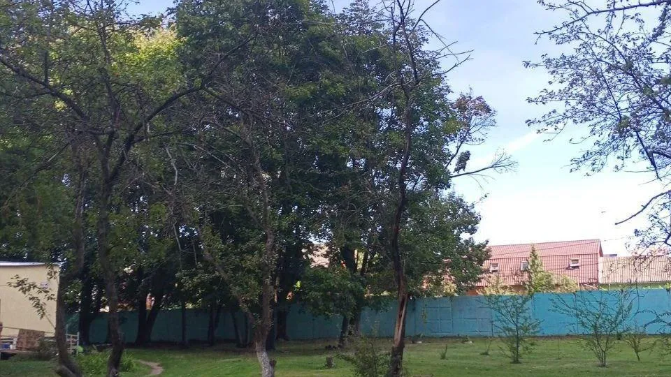 пресс-служба администрации Богородского городского округа