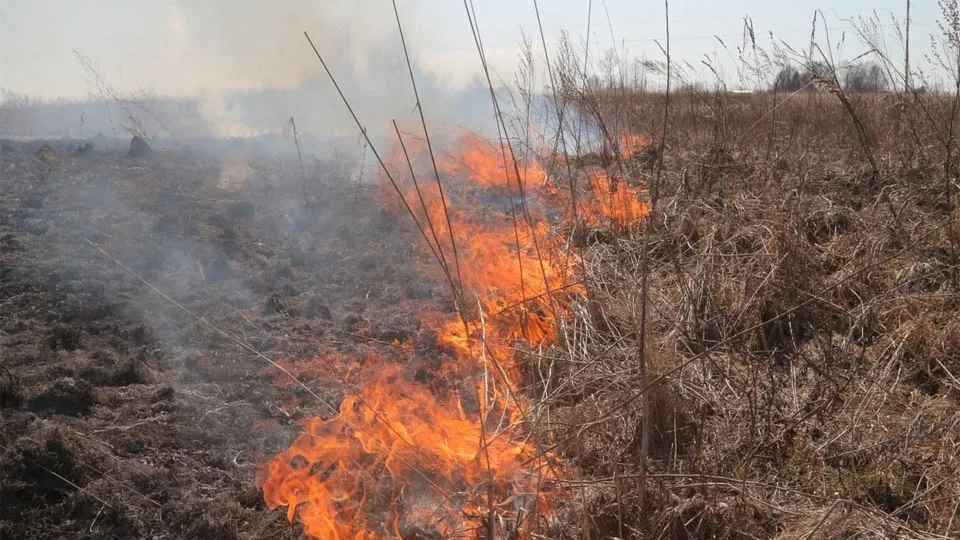 Фото: vk.com/ГУ МЧС России по Московской области