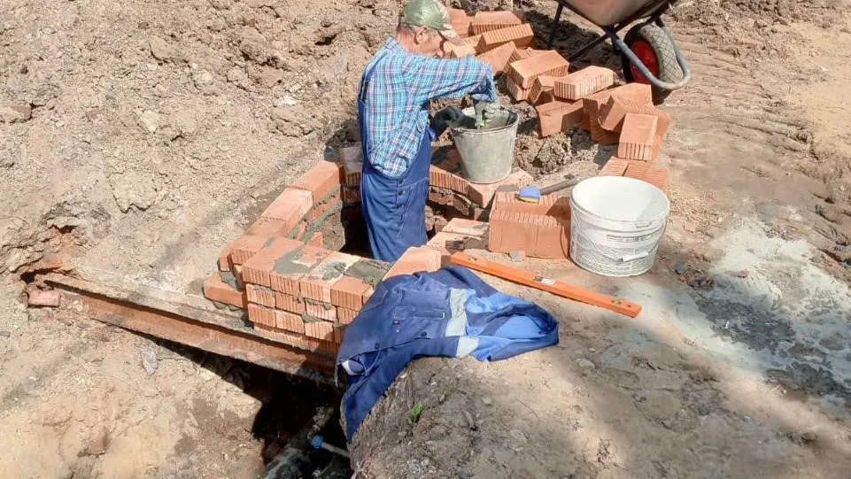 Фото: Пресс-служба администрации городского округа Истра