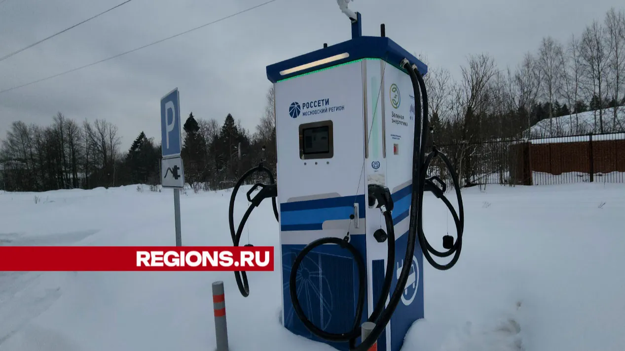 Фото: Екатерина Данилина