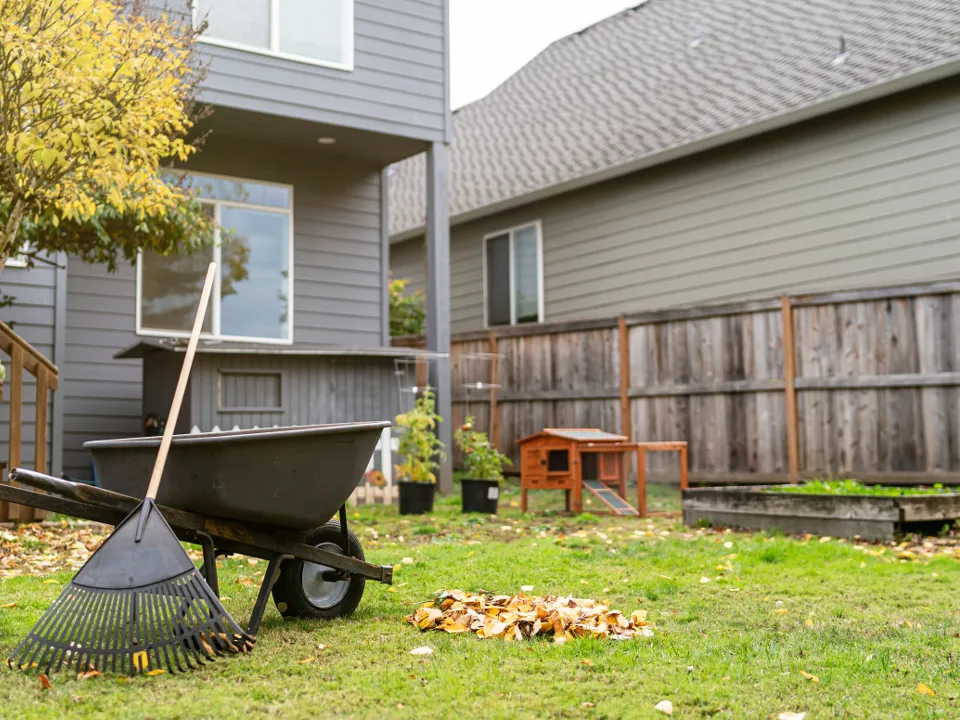 Фото: istockphoto.com/Fly View Productions