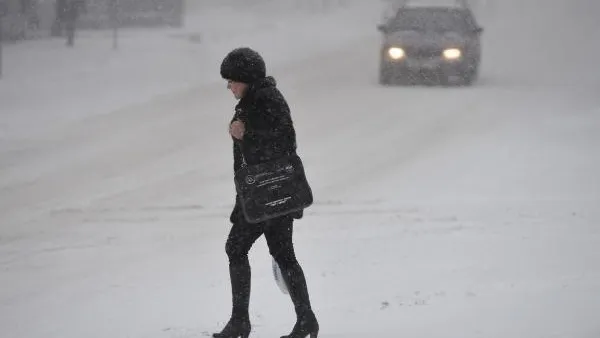 «Желтый» уровень опасности объявили в столичном регионе из-за ветра