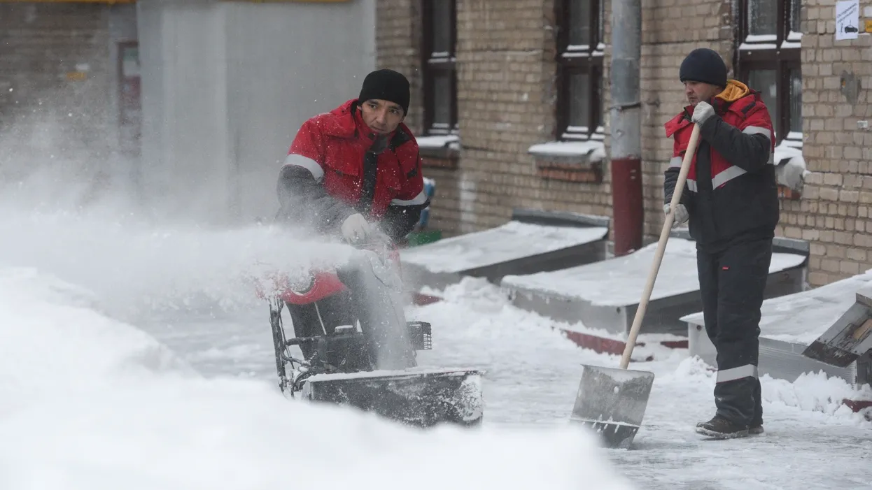 Фото: Медиаархив Подмосковья