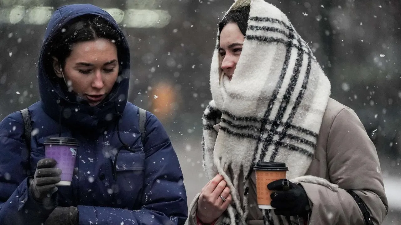 медиасток.рф