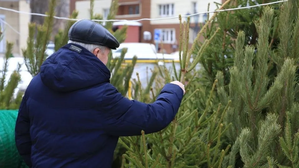 Фото: пресс-служба администрации г.о. Долгопрудный
