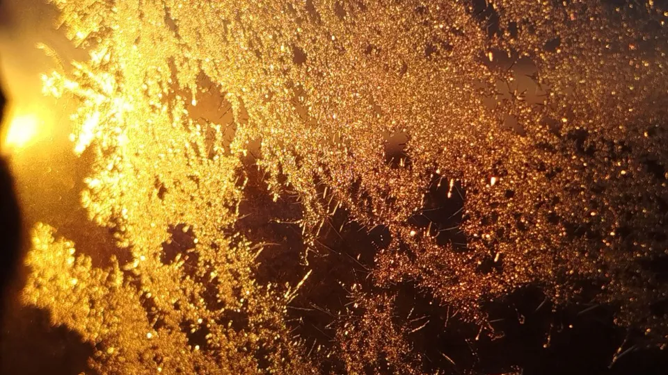 Фото: REGIONS/Юлия Куделькина