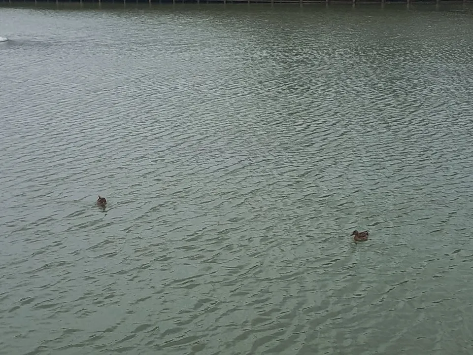 Фото: REGIONS/Олег Книжник