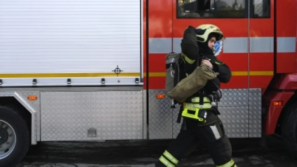 Фото: РИА Новости/Светлана Шевченко