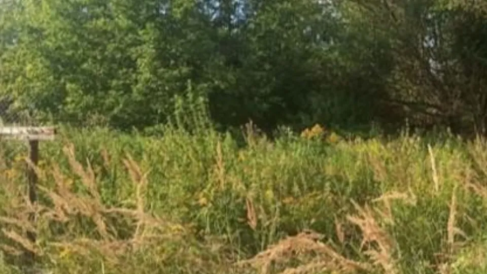 Фото: Комитет по конкурентной политике Московской области