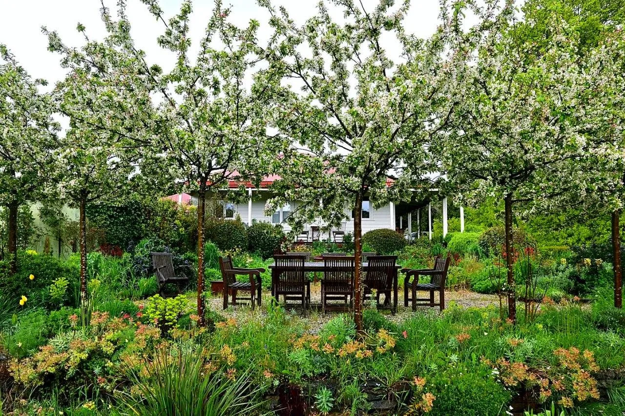 Фото: ТГ-канал "Сад по-новому"