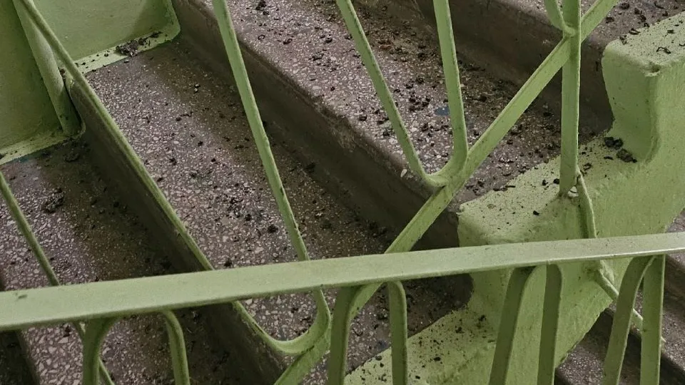 Фото: соцсети