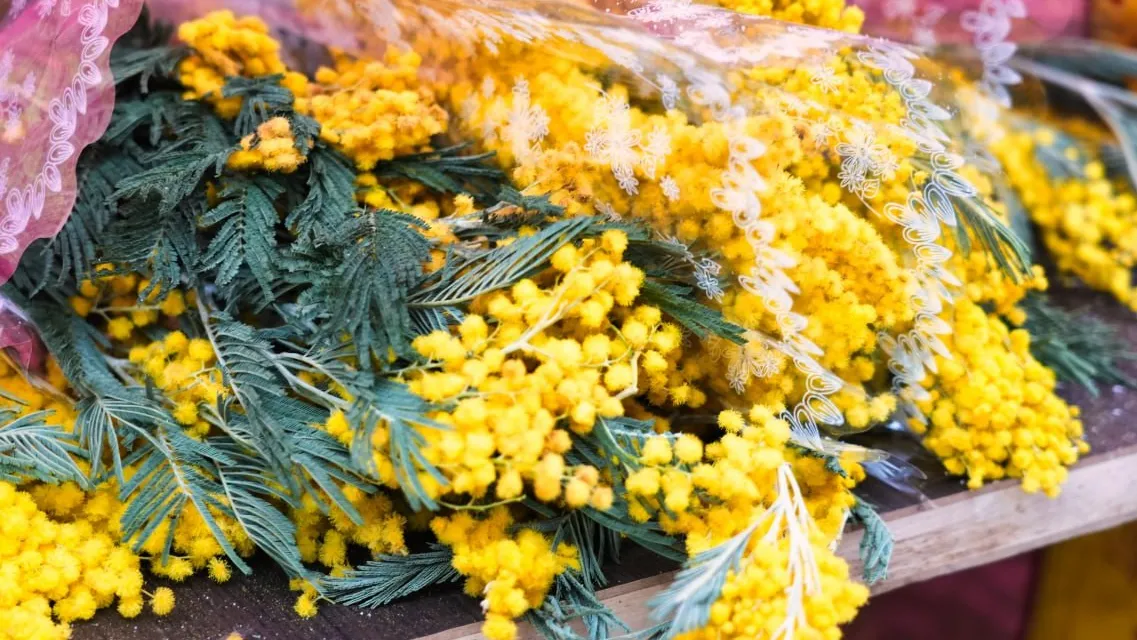 Фото: МедиаБанк Подмосковья/Дмитрий Зайчиков