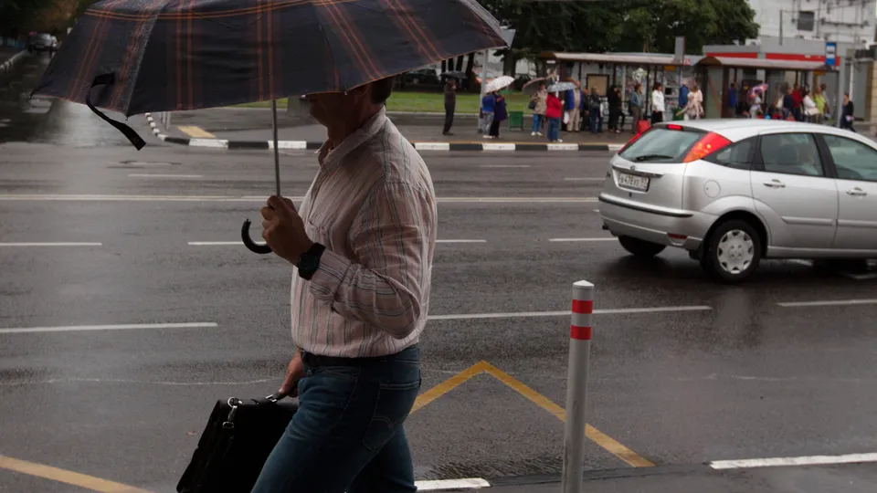 Фото: медиасток.рф