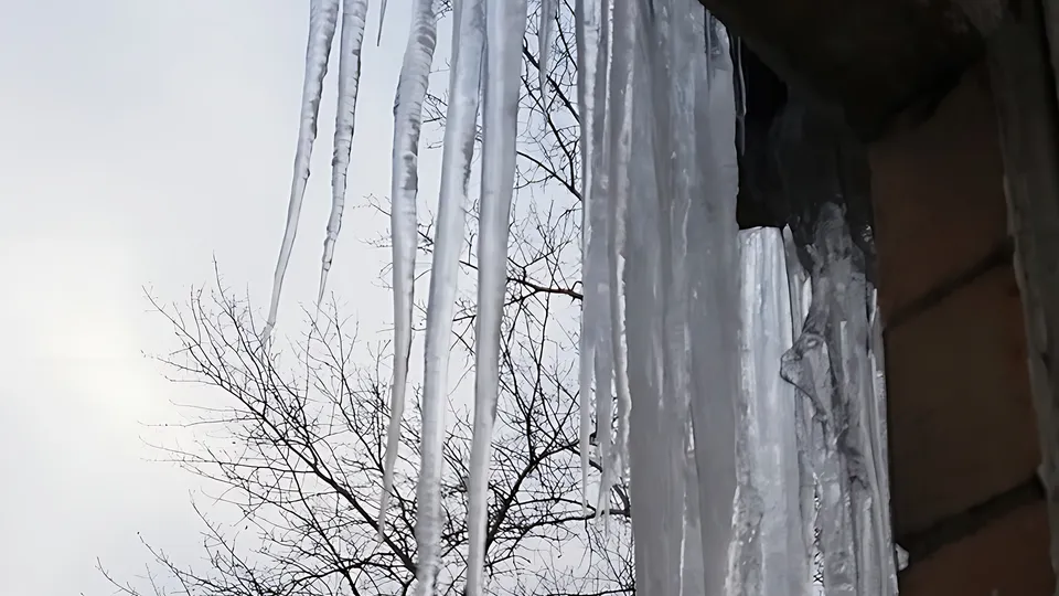 Фото: REGIONS/Владимир Острогожский