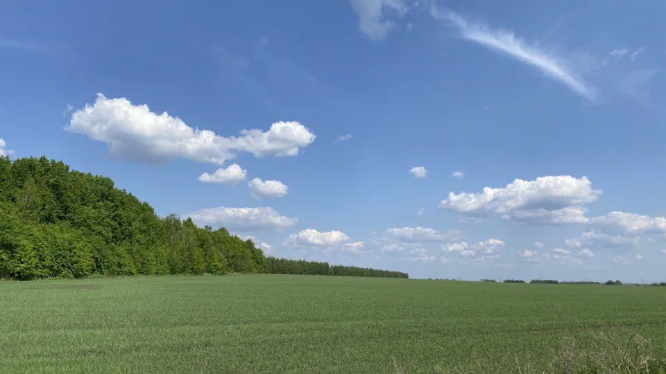 Фото: Министерство имущественных отношений Московской области