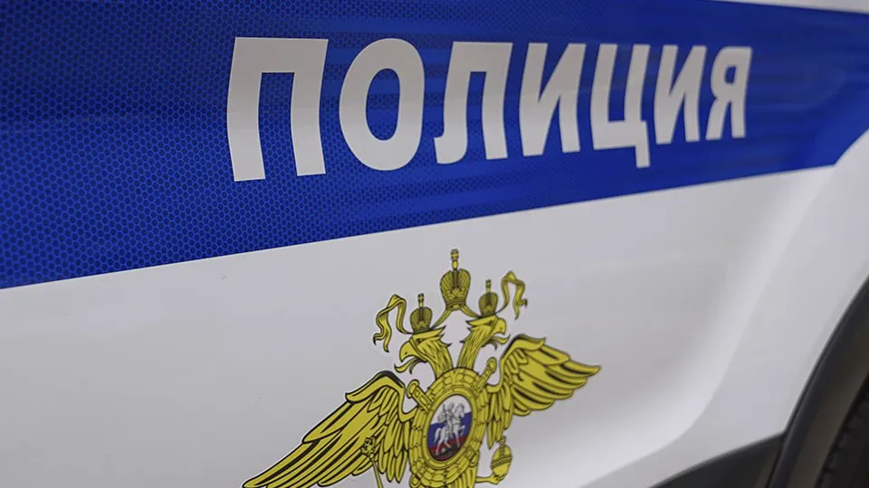 Фото: ГУ МВД России по Московской области