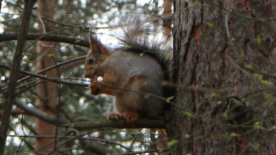 Фото: REGIONS/Юлия Павлова