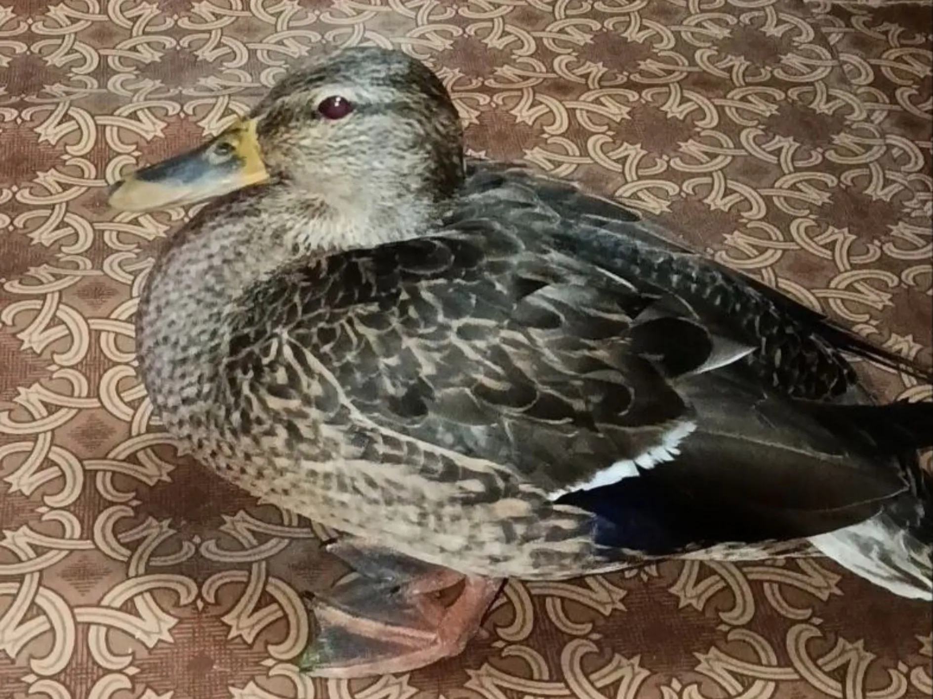 Фото: Эмма Чугунова