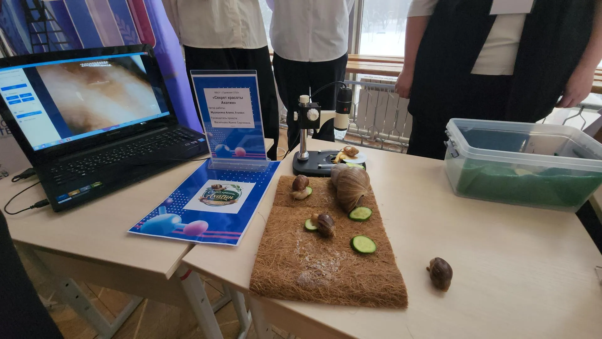 REGIONS/Валерий Гореловский