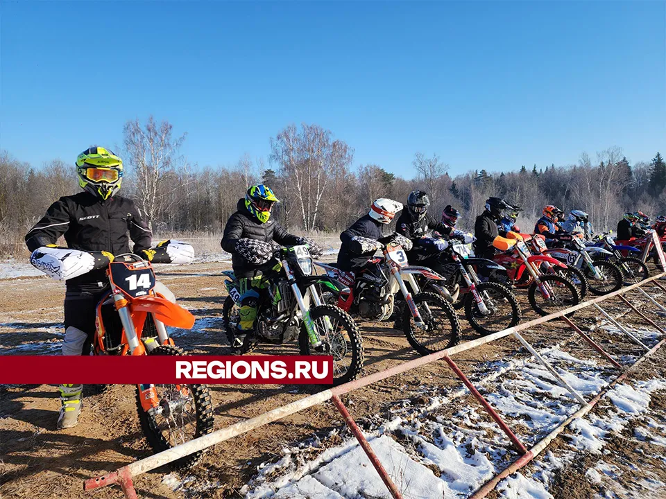 Фото: REGIONS/Александр Степушкин