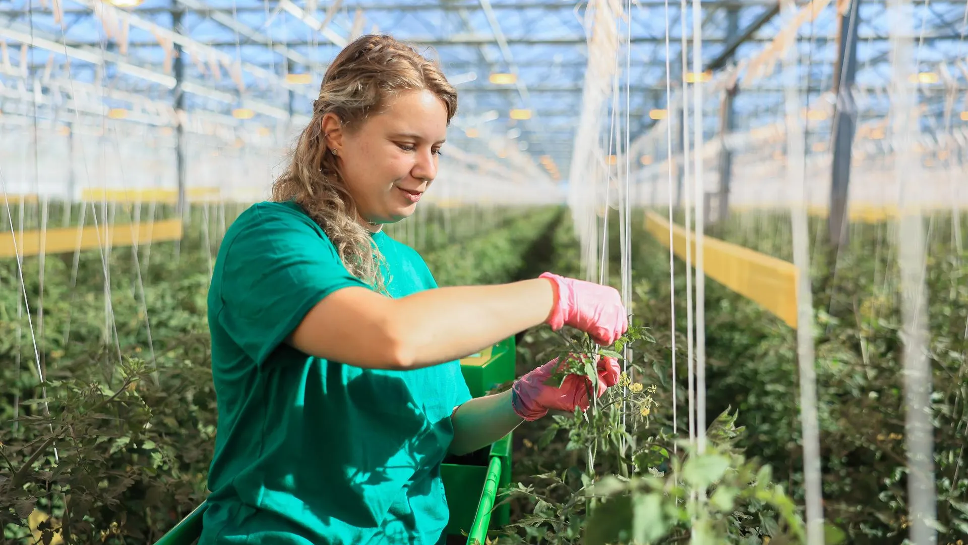 Министерство информационных и социальных коммуникаций Московской области