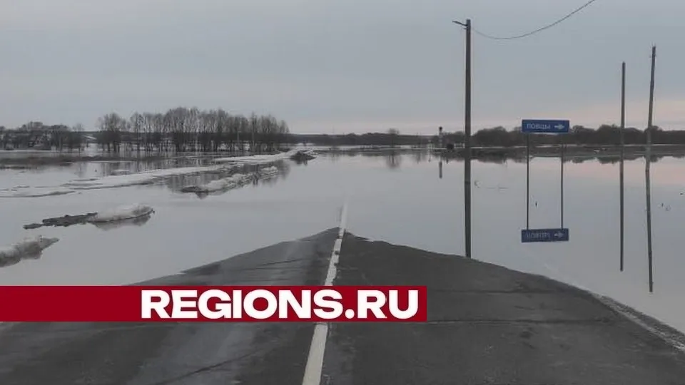 Фото: пресс-служба администрации городского округа Луховицы